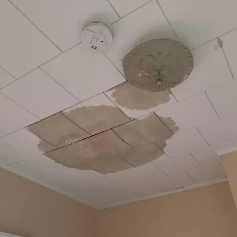 Ceiling Water Damage Repair in Laflin, PA