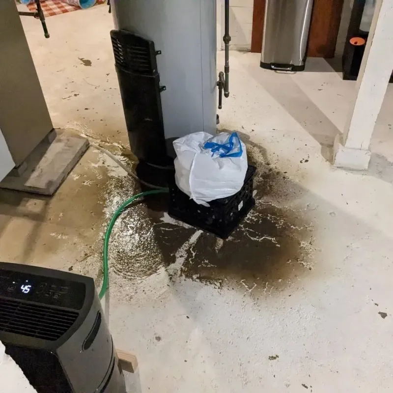Sewage Backup Cleanup Service in Laflin, PA